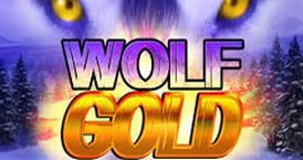wolf-gold