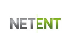 Net Ent icon