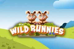 Wild Bunnies free slot background