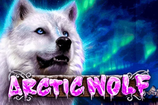 Sloto'Cash Casino background