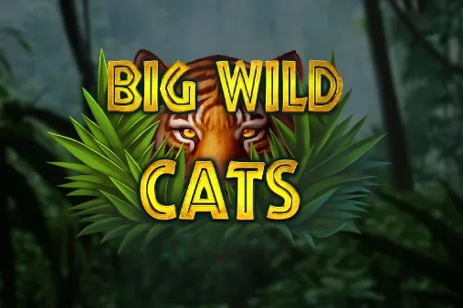 Sloto'Cash Casino background