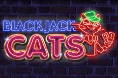 Sloto'Cash Casino background