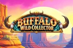 Buffalo Wild Collector free slot background