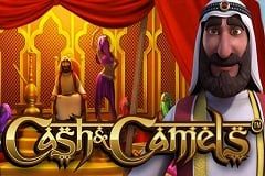 Sloto'Cash Casino background