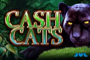 Sloto'Cash Casino background