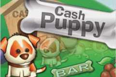 Sloto'Cash Casino background