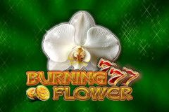 Burning Flower free slot background