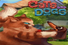 Sloto'Cash Casino background
