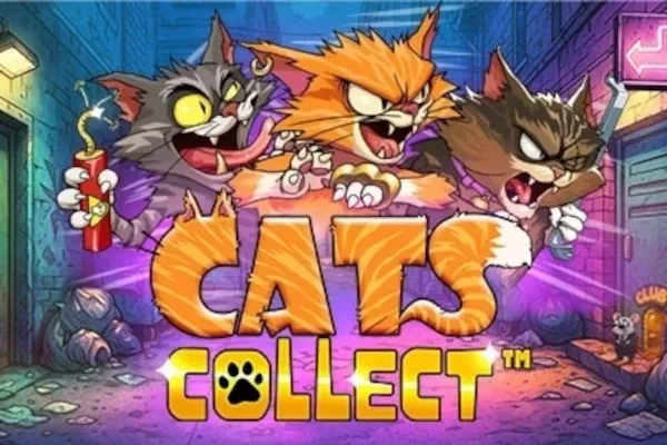 Cats Collect™ free slot background