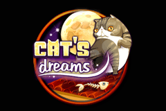 Sloto'Cash Casino background