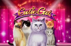 Sloto'Cash Casino background