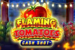 Sloto'Cash Casino background