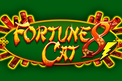 Sloto'Cash Casino background