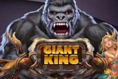 Sloto'Cash Casino background