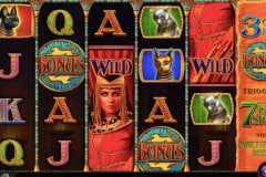 Sloto'Cash Casino background