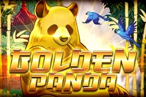 Sloto'Cash Casino background