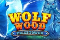 WolfWood PrizeTower free slot background