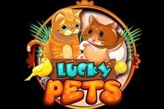 Sloto'Cash Casino background