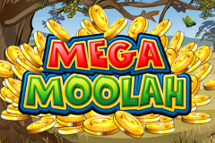 Sloto'Cash Casino background