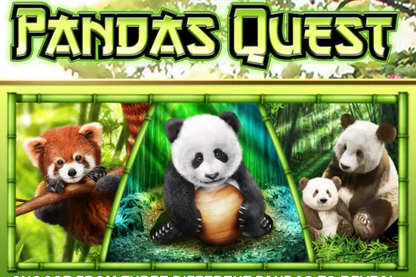 Sloto'Cash Casino background