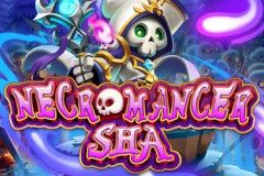 Necromancer Sha free slot background