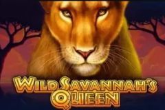 Wild Savannah's Queen free slot background