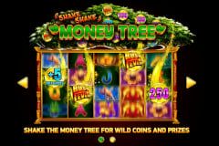 Sloto'Cash Casino background