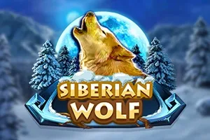 Sloto'Cash Casino background