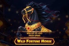 Wild Fortune Horse free slot background