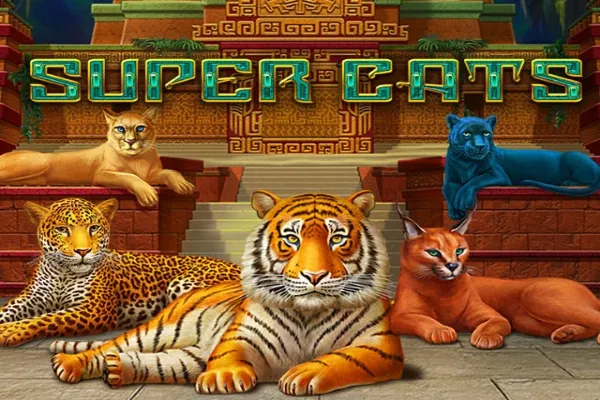 Sloto'Cash Casino background