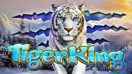 Sloto'Cash Casino background