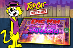 Sloto'Cash Casino background