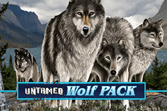 Sloto'Cash Casino background
