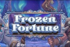 Frozen Fortune free slot background