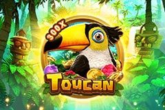 Toucan free slot background