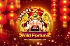 Wild Fortune free slot background
