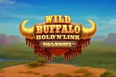 Sloto'Cash Casino background