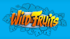 Sloto'Cash Casino background