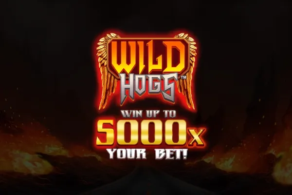 Sloto'Cash Casino background