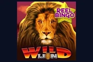 Sloto'Cash Casino background