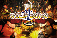 Sloto'Cash Casino background