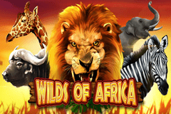 Sloto'Cash Casino background