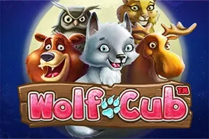 Sloto'Cash Casino background