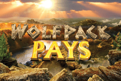 Vegas Casino Online background