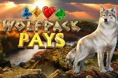 Sloto'Cash Casino background