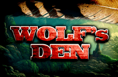 Sloto'Cash Casino background
