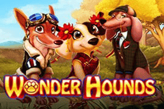Sloto'Cash Casino background
