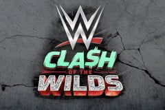 Sloto'Cash Casino background