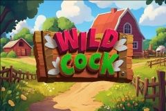 Wild Cock free slot background
