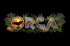 Sloto'Cash Casino background